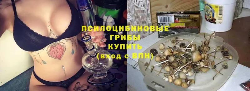 Псилоцибиновые грибы мухоморы  закладки  Камбарка 